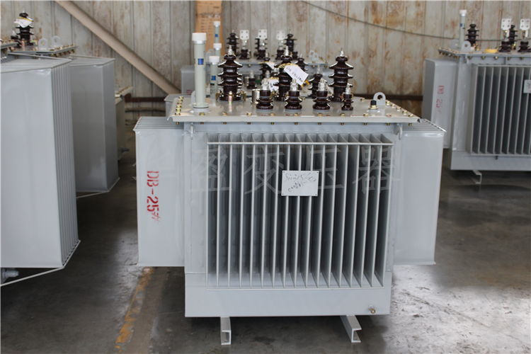 湛江S20-800kVA/10kV/0.4kV变压器